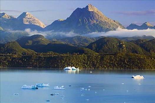 冰山,漂浮,阿尔西克湖,山峦,冰河湾国家公园,树林,阿拉斯加