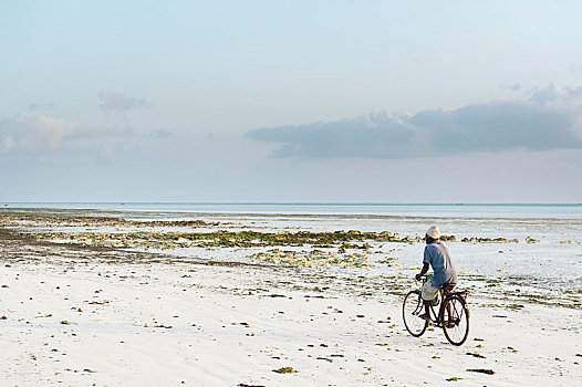 骑自行车,海滩,白色,沙滩,靠近,帕杰海滩,桑给巴尔岛,坦桑尼亚,非洲