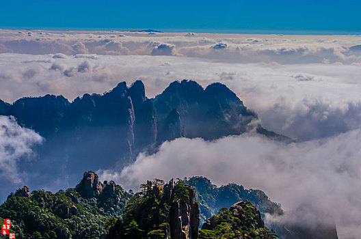 宁科生物下一个交易日“戴帽”