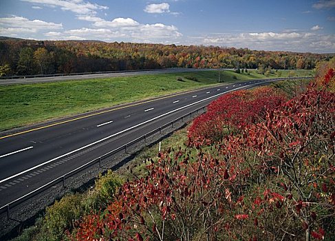 公路,通过,风景,宾夕法尼亚,美国