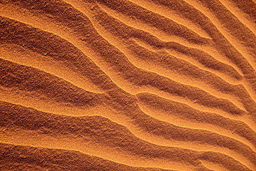 摩洛哥,靠近,扎古拉棉,沙丘,褶皱,风,德拉河谷