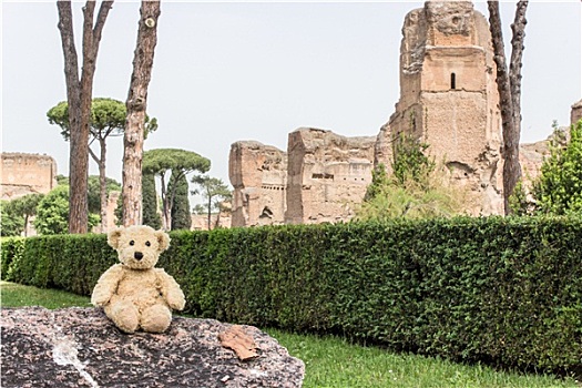 泰迪熊,罗马