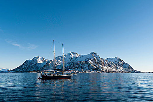 船,航行,正面,雪山,罗浮敦群岛,挪威