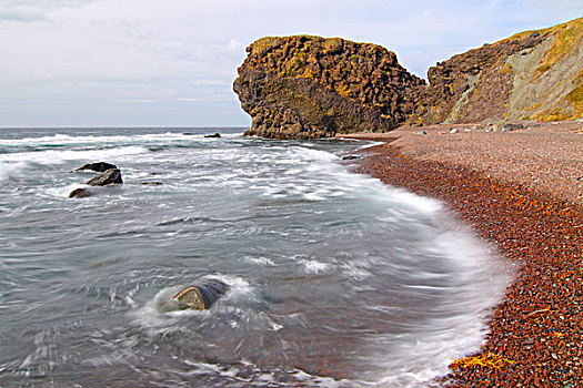 岩石,海滩,格罗莫讷国家公园,纽芬兰,加拿大