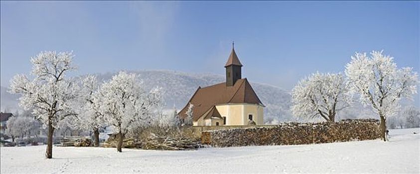 教堂,霜冻,果树,下奥地利州,奥地利,欧洲