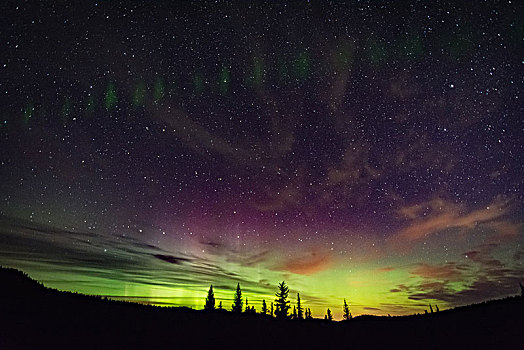 北极光,极光,拱形,镍,盘子,省立公园,不列颠哥伦比亚省,加拿大
