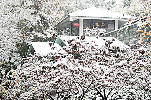 清凉山雪景