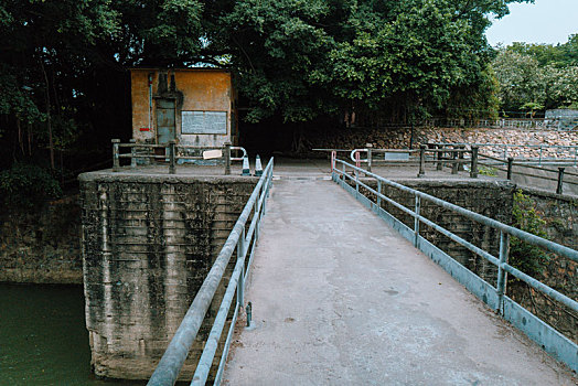 汽动泵