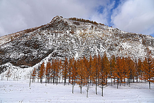 阿尔山雪景