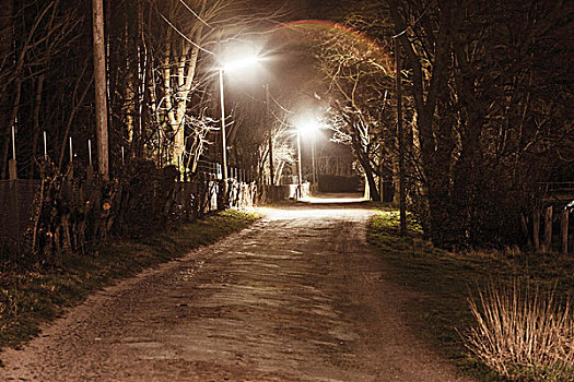 土路,道路,路灯,夜晚