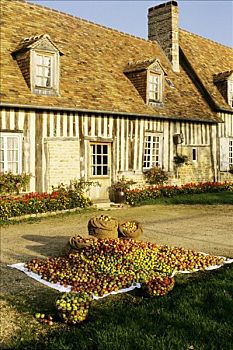 法国,诺曼底,苹果白兰地,建筑,苹果