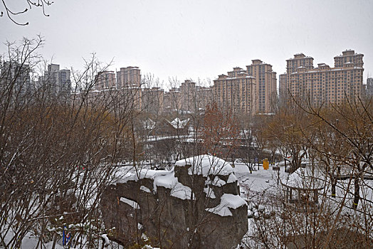 河北省石家庄市公园雪景