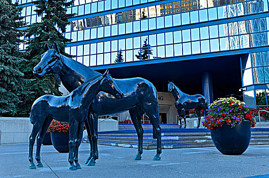马,雕塑,卡尔加里,市政厅,艾伯塔省,加拿大