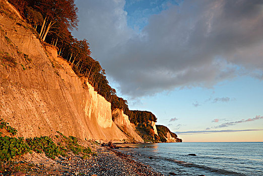 白垩断崖,早晨,亮光,波罗的海,海岸,萨斯尼茨,德国,欧洲
