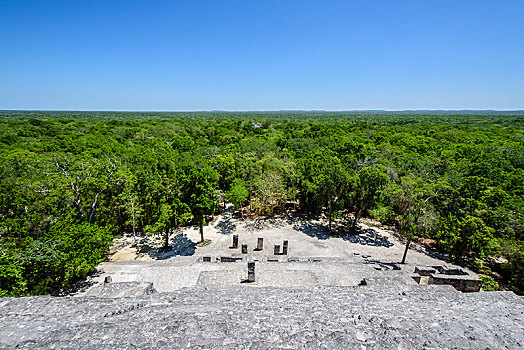 石碑,玛雅,城市,卡拉克穆尔,生物保护区,坎佩切,墨西哥,中美洲