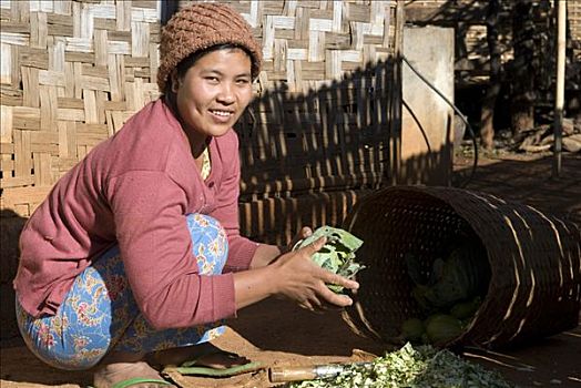 缅甸,女人,姿势,摄影,拿着,卷心菜