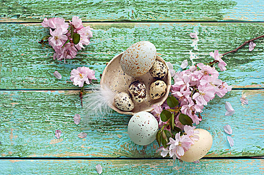 复活节彩蛋,蛋,碗,枝条,樱花,木质,表面