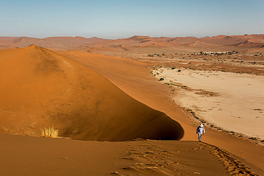 旅游,走,向上,大,爸爸,沙丘,索苏维来地区,纳米比亚