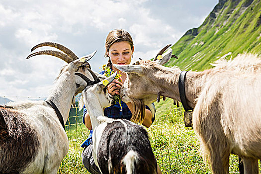 中年,女人,山羊,提洛尔,奥地利