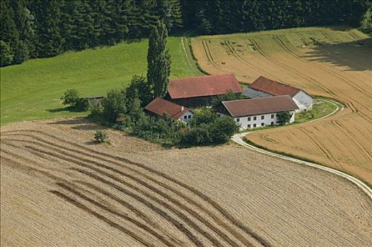 农场,收获,庄稼地,下巴伐利亚,巴伐利亚,德国