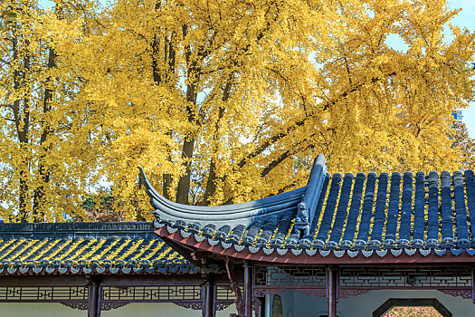 古建筑秋色,南京莫愁湖公园