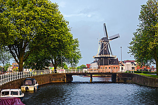 风车,高处,桥,运河,哈勒姆,荷兰