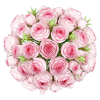 俯视,花束,粉色,玫瑰,隔绝,白色背景,背景
