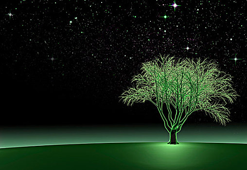 绿色,橡树,树,夜晚,数码,图像,