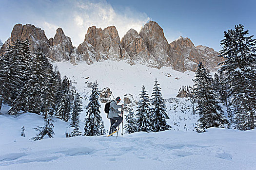 远足,雪鞋,背景,路,一个,漂亮,路线,博尔查诺,省,特兰迪诺,南蒂罗尔,意大利,欧洲