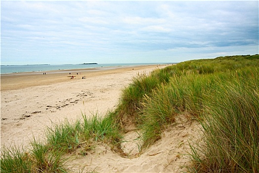 海边,沙,草,英格兰