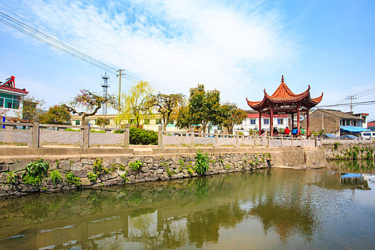 海曙,鄞江,大桥村,建岙村,小河,乡村,春天,阳光