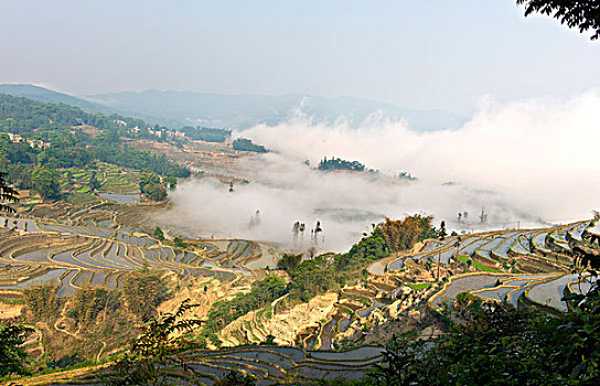 云南省红河州元阳哈尼梯田