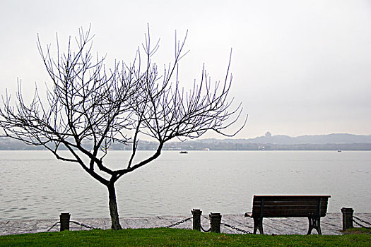 西湖冬雨