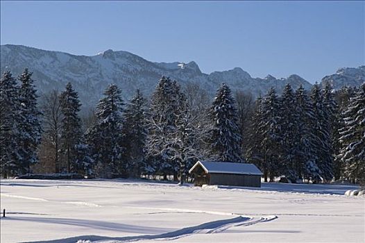 小教堂,风景,靠近,上巴伐利亚,德国