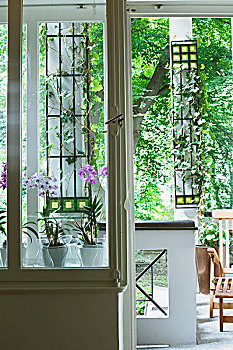 盆栽,兰花,窗台,花园,窗户