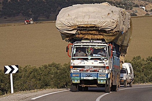 非洲,北非,摩洛哥,运输,卡车,公路
