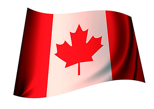 加拿大,红色,白色,旗帜,象征,枫叶