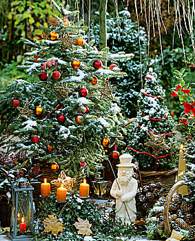 松树,装饰,圣诞节,观赏苹果