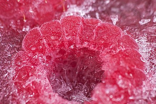 冰冻,树莓,特写