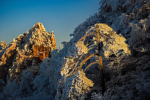 雪后黄山