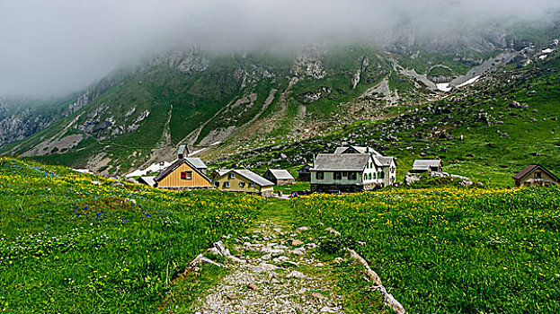 小路,山地牧场,山脉,瑞士,欧洲