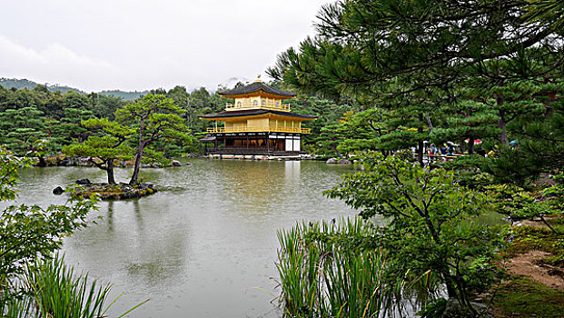 金阁寺,京都,寺庙,日本