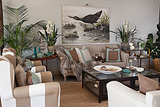 客厅,软垫,座椅,盆栽植物,水禽
