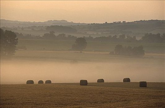 法国,奥弗涅,风景,薄雾,一堆,稻草