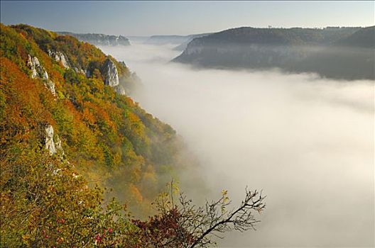 雾,多瑙河,山谷,秋色,巴登符腾堡,德国