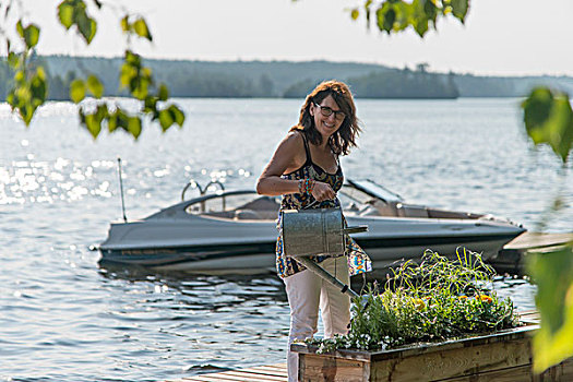 女人,浇水,植物,码头,湖,木头,安大略省,加拿大