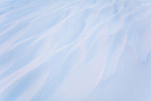 雪地