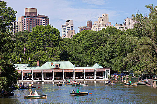 划船,船,湖,中央公园,曼哈顿,纽约,美国
