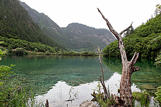 四川九寨沟的海子