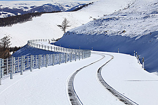 东天山雪韵